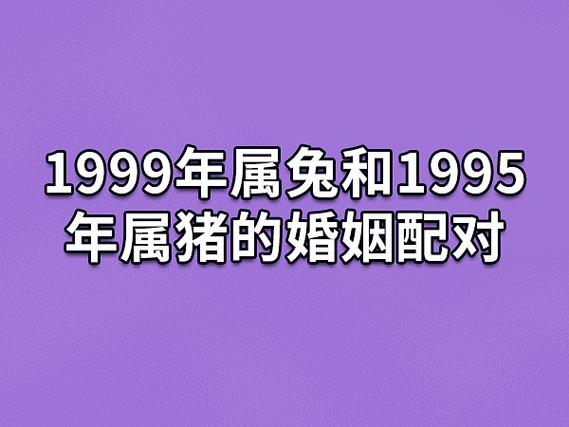 1999年属兔和1995年属猪的婚姻配对