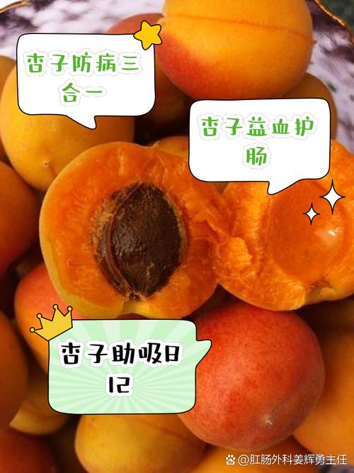 奶黄杏的功效和作用是什么