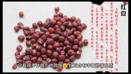 红豆的作用与功效