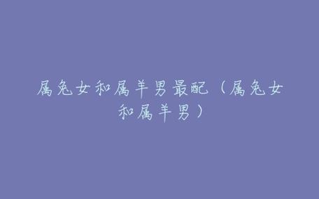 属兔和属羊相配吗 羊和兔是合还是冲