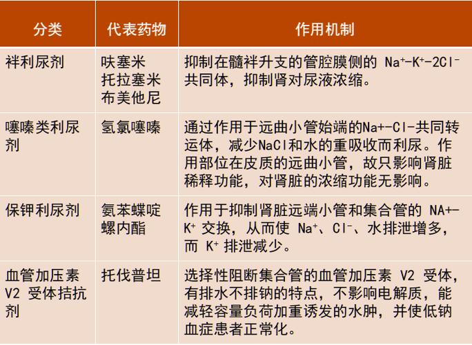 表 5 :与呋塞米联用时其他利尿剂用量05:钠摄入过量策略:限盐饮食.