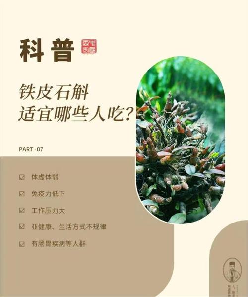 铁皮石斛,又被称为