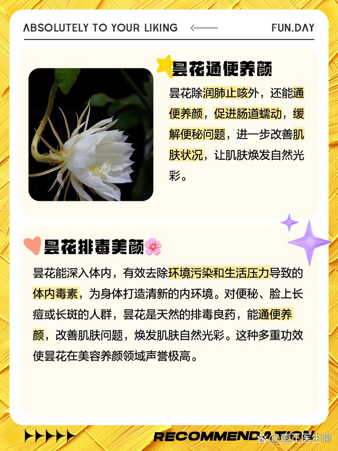 昙花的作用与功效 昙花的修剪方法图解