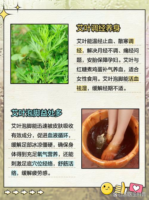 艾叶有什么功效 艾草能提高性功能吗