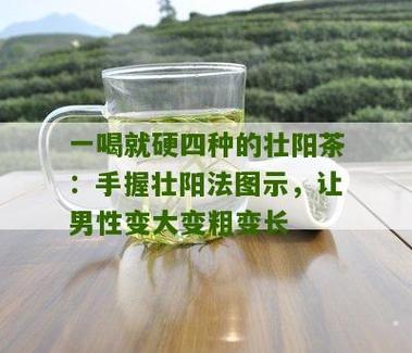 一喝就硬的壮阳茶 男人泡什么喝可以增强性功能