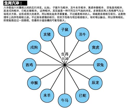 十二生肖相生相克图表