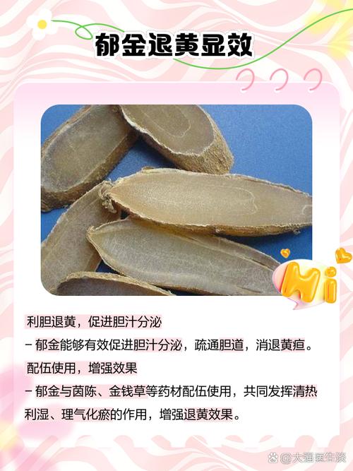 郁金的作用与功效 家人们,有没有听过郁金这种中药?