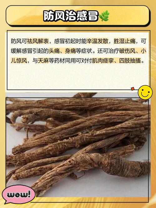 防风的功效与作用 姐妹们有没有发现,防风这个名字听起来就颇具神秘感