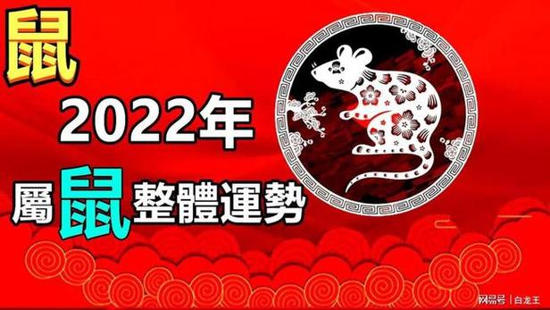 属鼠2023年整体运势2008(属鼠2023年整体运势1972女)