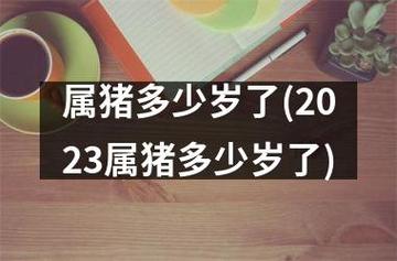 属猪多少岁了(2023属猪多少岁了)