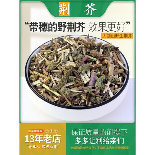 荆芥的功效是什么有来医生(荆芥的作用与功效)