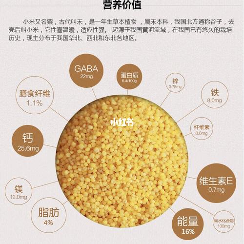 小米薏仁粥的功效与作用(小米薏米芡实粥的功效)