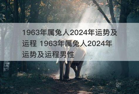 1963年属兔人2024年运势及运程 1963年属兔人2024年运势及运程男性