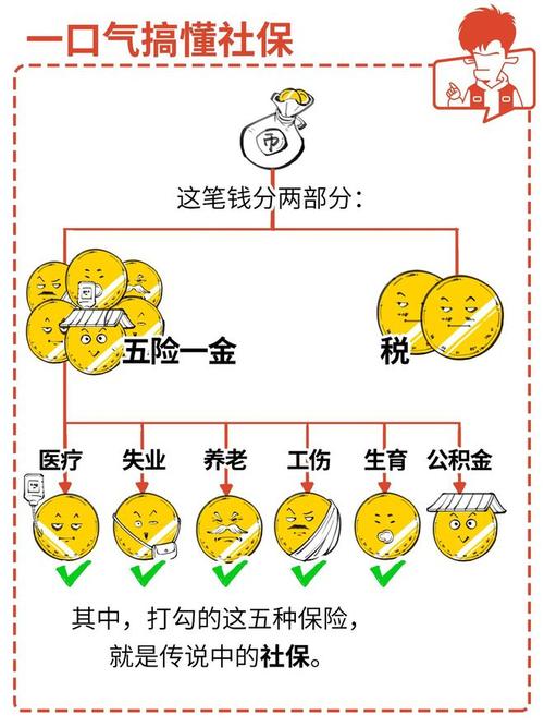 一口气搞懂社保!再也不怕白交钱