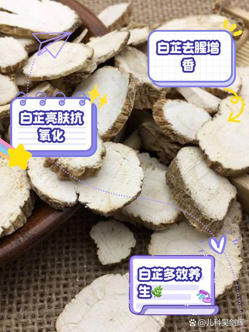 白芷的功效与作用是什么 95姐妹们,你们知道吗?