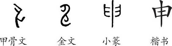 《申》字义,《申》字的字形演变,小篆隶书楷书写法《申》