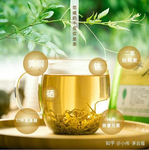 张家界茅岩莓茶是什么茶有哪些功效看完这篇你就懂了