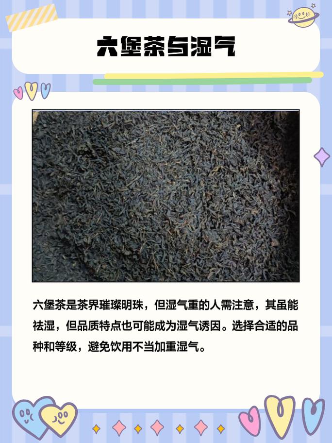 秋分后要忌绿茶，老茶客不论喝什么茶牢记“3不喝”益处多(湿气重最怕三种茶)