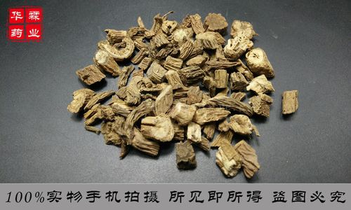 中药酒续断功效与作用桑寄生的功效与作用及禁忌