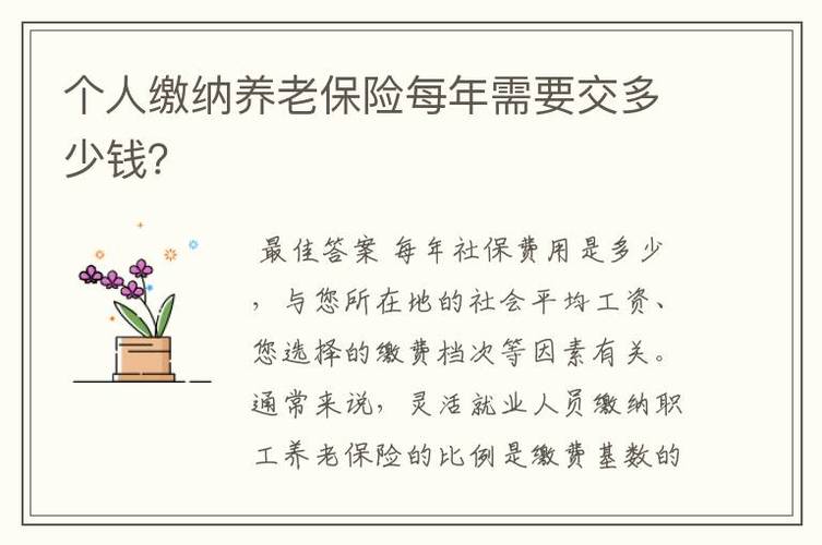 个人缴纳养老保险每年需要交多少钱?