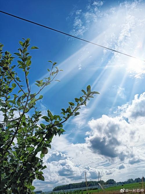 天空##身边的风景##随手拍天空##蓝天白云