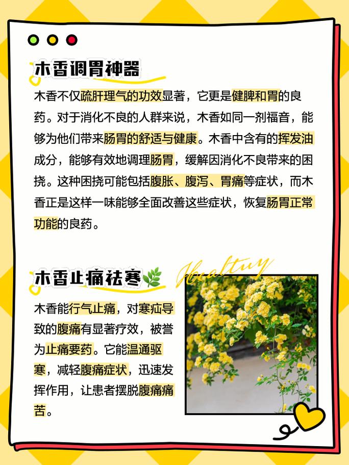 木香的作用与功效 家人们,今天我们来聊聊一味古老又神奇的中药材