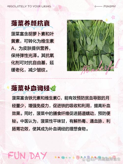 菠菜的功效与作用