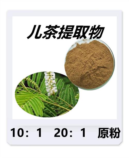 儿茶提取物儿茶速溶粉