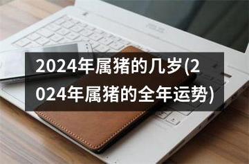 2024年属猪的几岁(2024年属猪的全年运势)