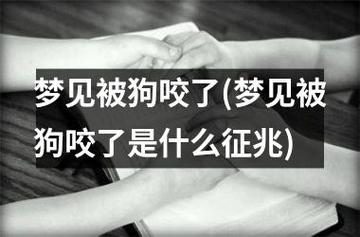 预示生贵子的胎梦有哪些好不好预示生贵子的胎梦有哪些什(梦见狗咬)