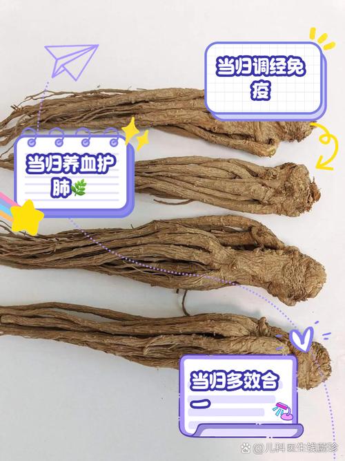 当归的作用和功效(当归的正确服用方法)