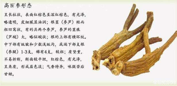 高丽红参的功效与作用