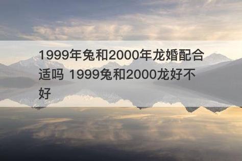 1999年兔和2000年龙婚配合适吗 1999兔和2000龙好不好