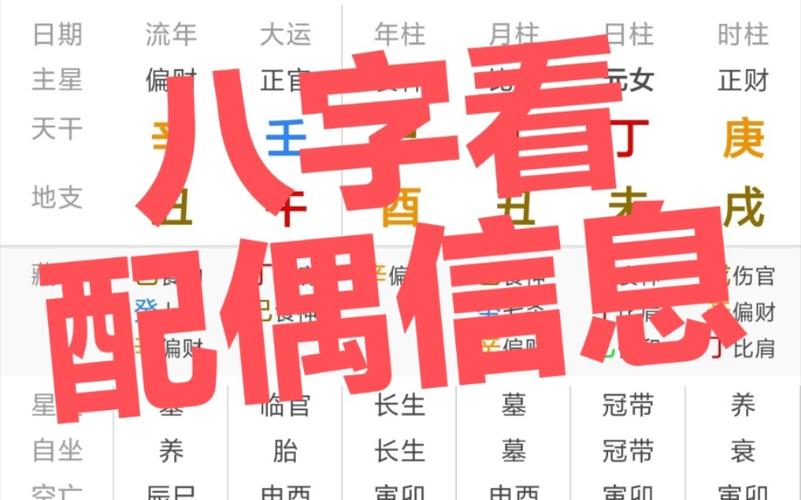 八字看配偶信息_哔哩哔哩_bilibili