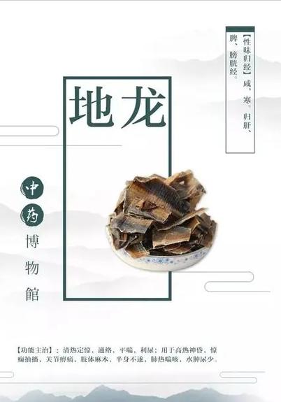 世界粮食日这个不起眼的小生物可能是粮食生产的“大功(地龙的作用与功效)