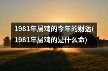 1981年属鸡的今年的财运(1981年属鸡的是什么命)