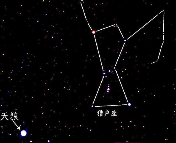 天狼星属于什么星座(有天狼座这个星座吗)