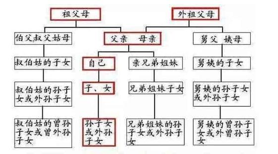 什么样算近亲结婚