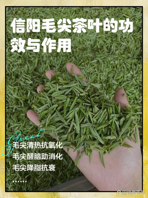 都不知道是不是挺尴尬的，黑茶绿茶古丈毛尖高桥银(信阳毛尖功效)