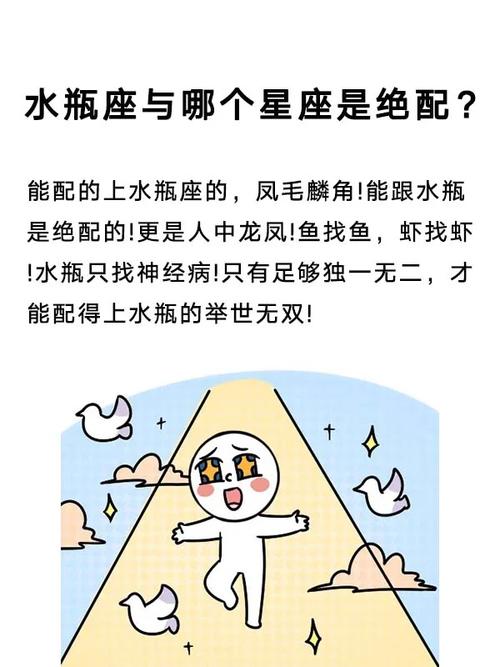 水瓶座与哪个星座是绝配