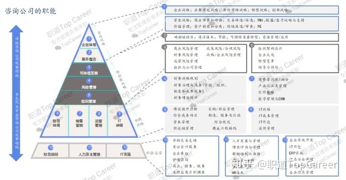 咨询公司是做什么的