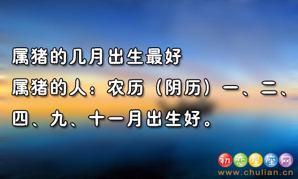 属猪人几月出生命最好|图说属猪的几月出生最好