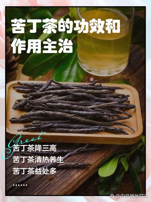 苦丁茶的功效与作用有来医生