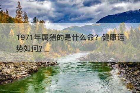 1971年属猪的是什么命?健康运势如何?