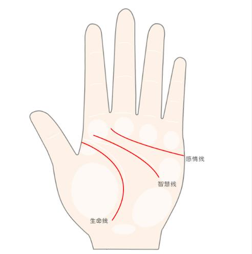 双手有川字掌,是不是富贵命?图解川字掌纹【老胡看相】