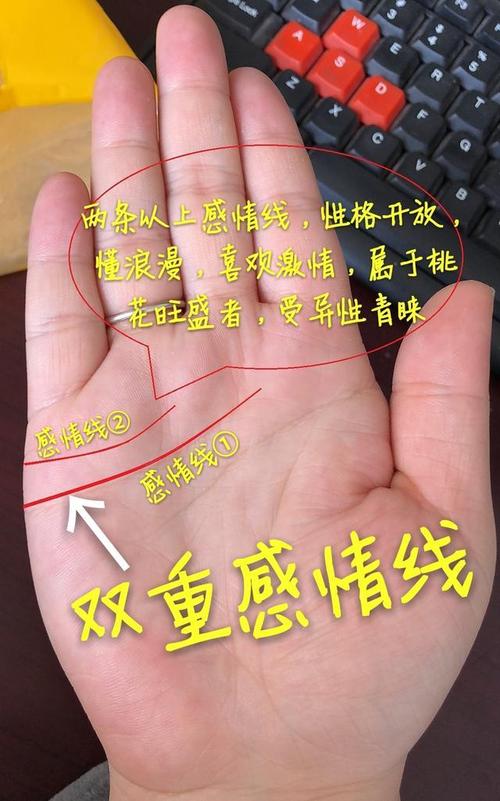 手相:感情线上这里