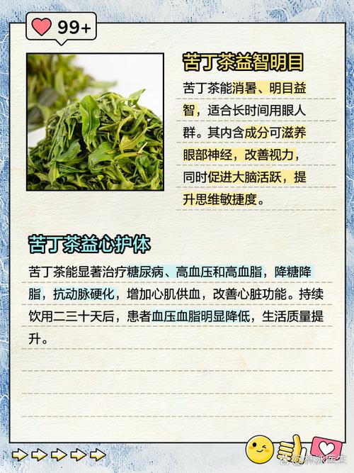 苦丁茶有什么功效(苦丁茶的适宜人群和禁忌)