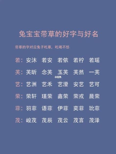 明年兔宝宝姓王取什么名字-姓王的兔宝宝男孩名字大全免费明年兔宝宝