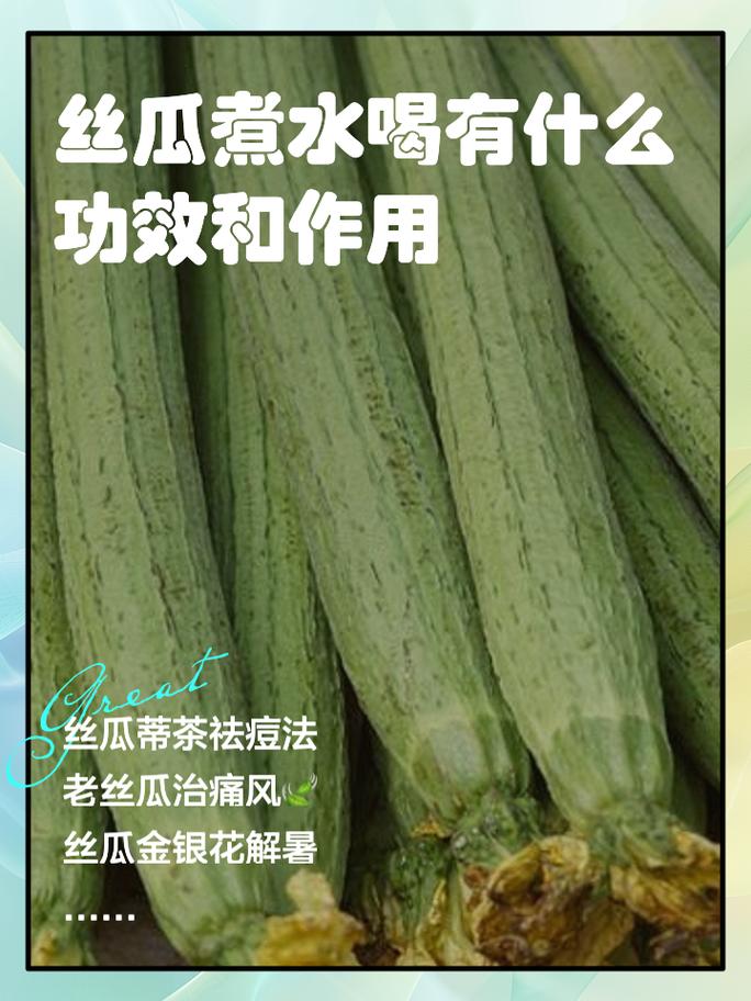 丝瓜煮水喝有什么功效和作用 姐妹们有没有发现,丝瓜这个蔬菜真的是个