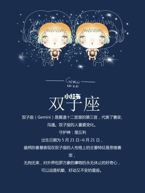 双子座适合什么星座(双子座女生的社交能力)